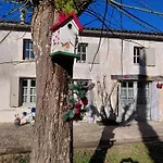 Des Oiseaux