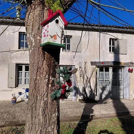 Des Oiseaux