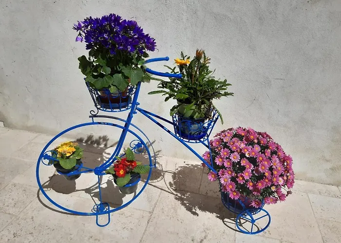 Ferienhaus Des Oiseaux *